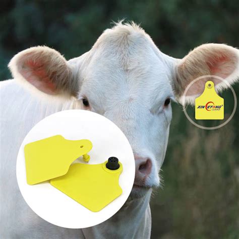 what is rfid animal tag|animal identification and tracking.